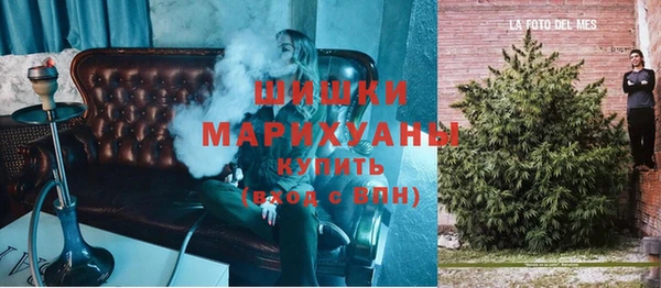 ALPHA PVP Туринск