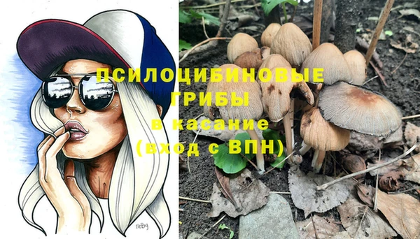 спиды Гусь-Хрустальный