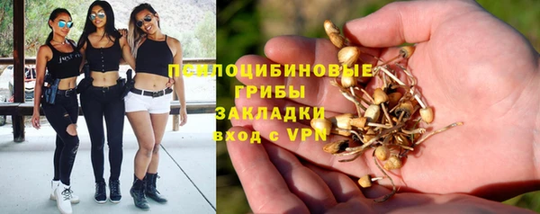 соль курить ск Гусев