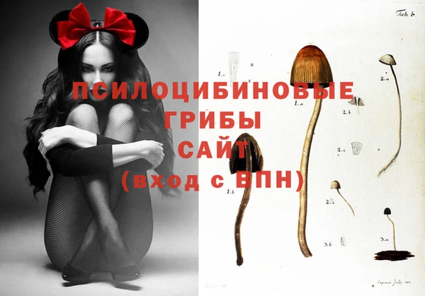 спиды Гусиноозёрск