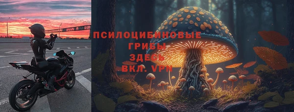 соль курить ск Гусев